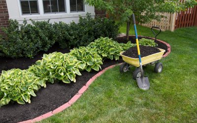 6 Low-Maintenance Landscaping Tips for a Stress-Free Summer