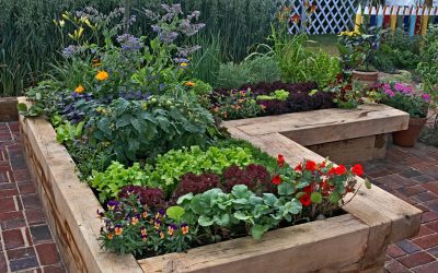 11 Ways to Help Your Garden Survive Summer